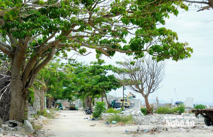 Xã Hải Châu đang giải phóng mặt bằng khu vực ven biển để đầu tư phát triển du lịch biển. Ảnh: Thành Duy