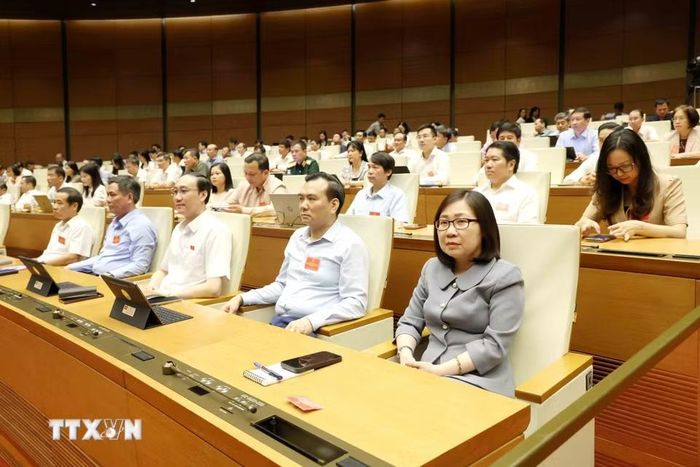 Đại biểu tham dự hội nghị. (Ảnh: Phương Hoa/TTXVN)