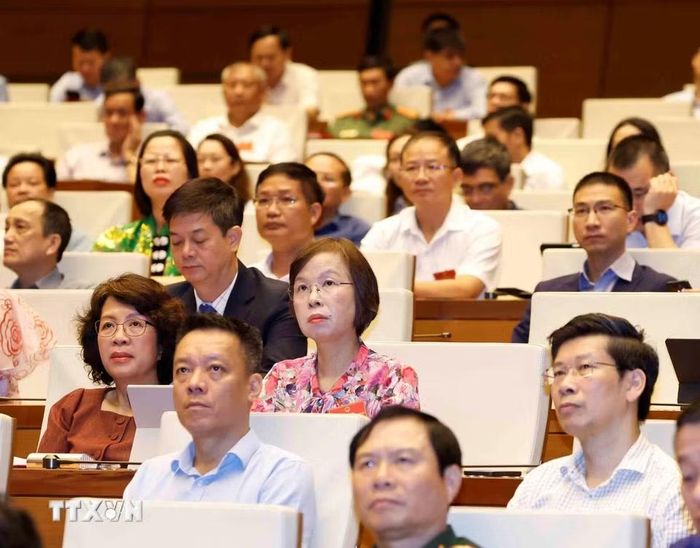 Các đại biểu tham dự. (Ảnh: Thống Nhất/TTXVN)