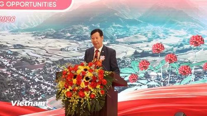 Ông Lê Khắc Hiệp cho biết tập đoàn đã triển khai hai dự án điện Mặt Trời lớn là Bản Chát 1 và Bản Chát 2 với tổng mức đầu tư khoảng 13.000 tỷ đồng. (Ảnh: Dương Linh/Vietnam+)