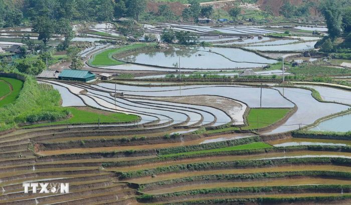 Lai Châu bước vào mùa mưa, nước từ những khe núi đổ xuống, lấp đầy các thửa ruộng bậc thang như những chiếc gương khổng lồ phản chiếu mây trời kỳ vĩ, tạo nên bức tranh thủy mặc khổng lồ giữa đại ngàn. (Ảnh: Quý Trung/TTXVN)