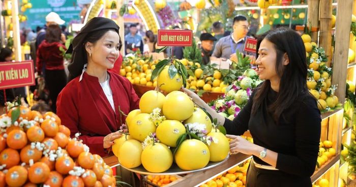 Bốc xếp hàng hóa container tại cảng biển. (Ảnh: PV/Vietnam+)
