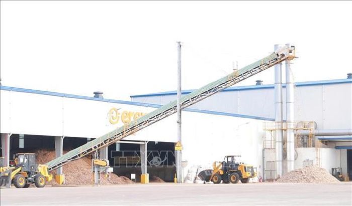 Các phương tiện, máy móc làm việc bên ngoài Nhà máy nhiên liệu sinh khối EREX SAKURA Tuyên Quang. Ảnh: Hoàng Hải/TTXVN