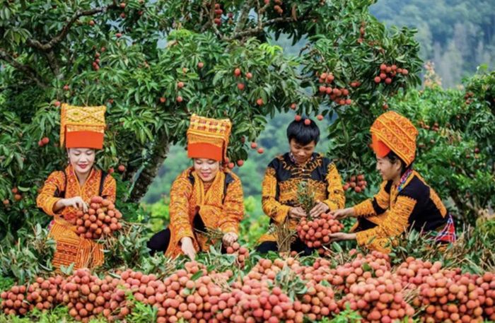 Cán bộ tín dụng NHCSXH tỉnh Bắc Ninh luôn gắn bó và tận tình giúp người dân sử dụng vốn chính sách để phát triển sản xuất kinh doanh.