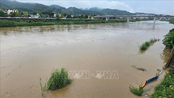 Nước sông dâng cao kéo theo nhiều củi rác trôi nổi, cùng nhiều đất cát, gây ngập úng nhiều diện tích rau màu của bà con canh tác ven sông.