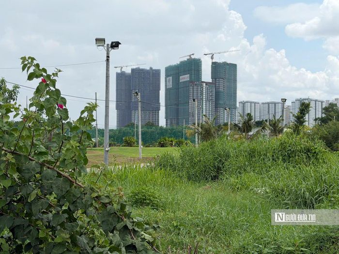 Theo ghi nhận thực tế, phần lớn diện tích đất đến nay vẫn để trống, cỏ mọc um tùm, ao hồ rải rác. Lác đác trong dự án là những căn nhà tạm của người dân thuộc diện quy hoạch treo.