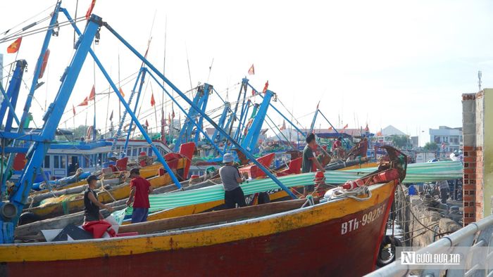 Ngư dân tất bật tiếp nhiên liệu, vận chuyển đá lạnh và nhu yếu phẩm lên tàu trước chuyến biển.