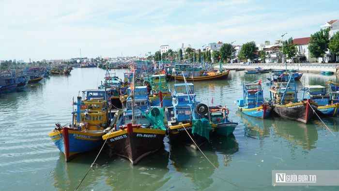 Tàu cá neo đậu ở vùng biển khu vực Phan Thiết.