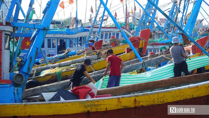 Các tàu cá được chuẩn bị kỹ lưỡng, nhưng nhiều chủ tàu vẫn chưa thể xác định ngày xuất bến do thiếu nhân lực.