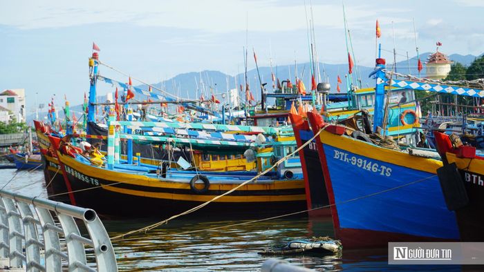 Tàu cá nằm bờ ở phường Phan Thiết, tỉnh Lâm Đồng.