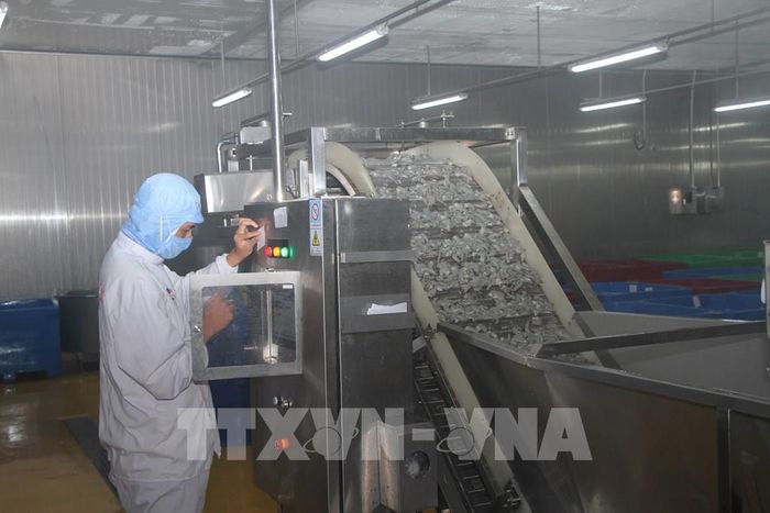 Việc ứng các thiết bị, dây chuyền sản xuất hiện đại giúp tăng năng suất và chất lượng cho sản phẩm xuất khẩu. Ảnh: Chanh Đa-TTXVN