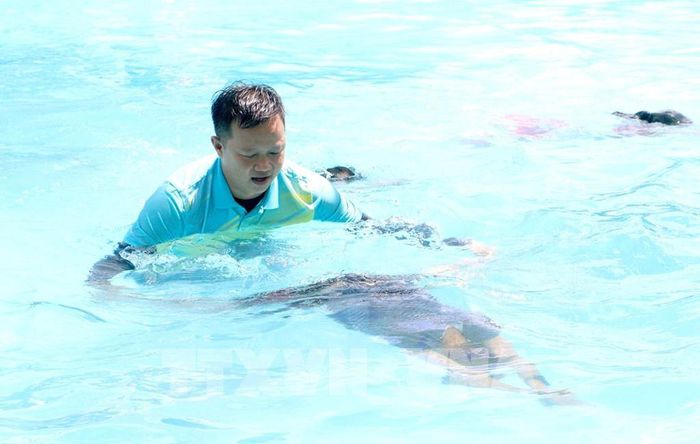 Giáo viên hướng dẫn các kỹ thuật bơi cho trẻ. Ảnh: Lê Thúy Hằng – TTXVN
