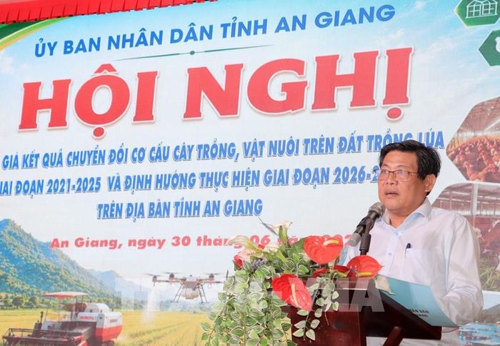 Phó Chủ tịch UBND tỉnh An Giang Ngô Công Thức phát biểu kết luận hội nghị. Ảnh: Văn Sĩ - TTXVN
