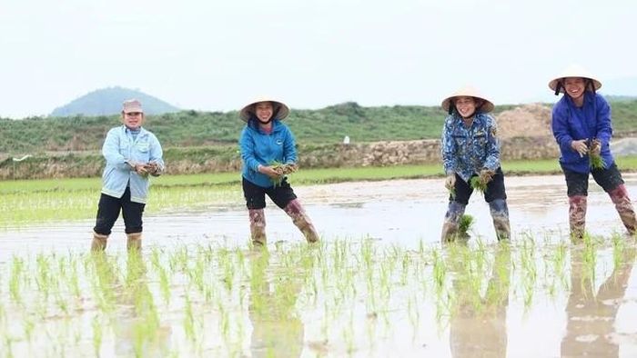 Nụ cười thân thương của người nông dân xứ Nghệ.