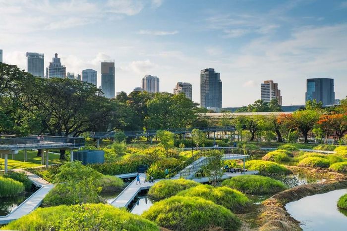Công viên Benjakitti tại Bangkok thiết kế theo mô hình thành phố bọt biển, phát huy khả năng chống chịu cho thành phố và tăng cường đa dạng sinh học. Ảnh: TurrenScape