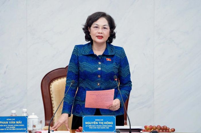 Phó Chủ tịch Quốc hội Nguyễn Thị Hồng phát biểu chỉ đạo tại buổi làm việc. Ảnh: Quochoi.vn