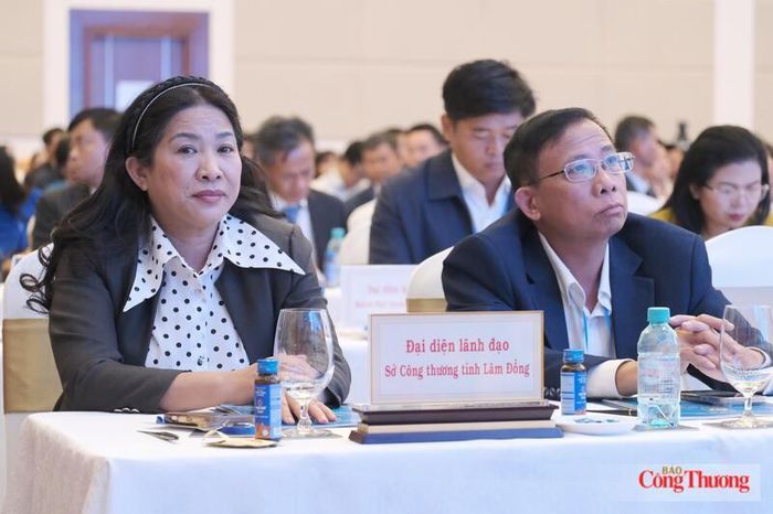 Bà Cao Thị Thanh, Phó Giám đốc Sở Công Thương tại đại hội. Ảnh: Lê Sơn