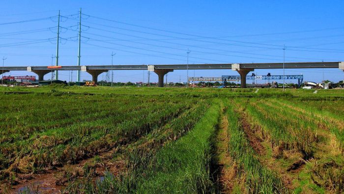 Liên danh các nhà đầu tư thực hiện dự án gồm Công ty TNHH Đầu tư địa ốc Thành phố (CityLand), Công ty TNHH Hoa Hướng Dương Sài Gòn (Saigon Sunflower), Tổng công ty Đầu tư phát triển đường cao tốc Việt Nam (VEC), Công ty cổ phần Đầu tư Horizon (Horizon).