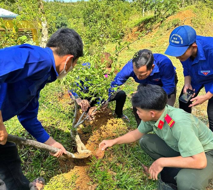 Tuổi trẻ Trà Giáp trồng hoa giấy, xây dựng tuyến đường xanh tại làng Boa, thôn 3. Ảnh: NGUYỄN BÌNH