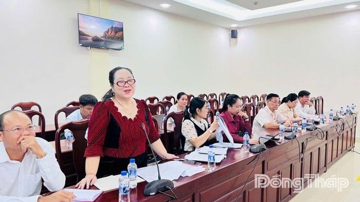Đại biểu Nguyễn Thị Tuyết Vân, Phó Trưởng Ban Văn hóa - Xã hội HĐND tỉnh phát biểu tại cuộc họp.
