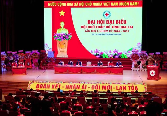  Quang cảnh Đại hội đại biểu Hội Chữ thập đỏ tỉnh Gia Lai lần thứ I. Ảnh: Nguyễn Muội 