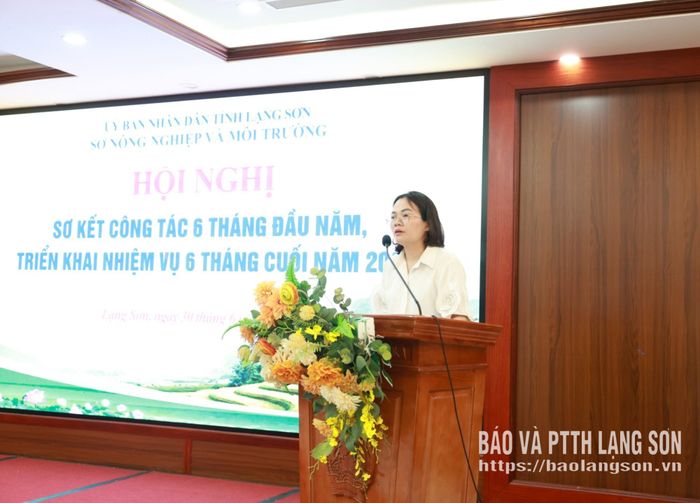 Lãnh đạo Chi cục Thủy lợi phát biểu tại hội nghị