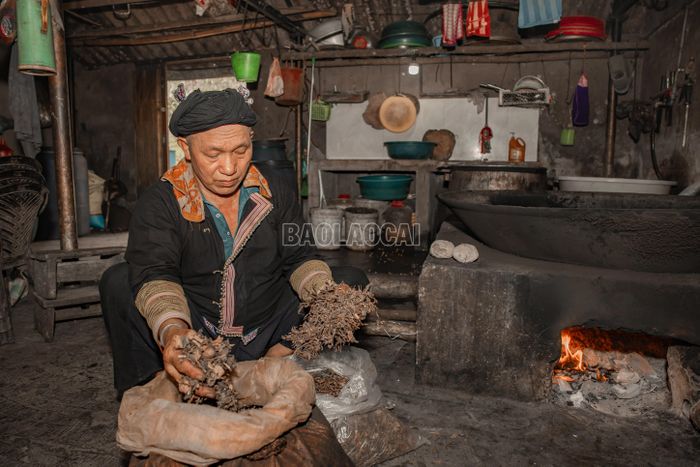 Phía sau những bánh men là hành trình tìm kiếm các vị thuốc của người Dao. Lá, thân và rễ cây được thu hái từ rừng, mang về phơi khô rồi phối trộn với gạo tẻ. Hỗn hợp được nghiền nhỏ, hòa nước, nặn thành bánh và ủ từ 5 đến 10 ngày cho men nở trước khi phơi nắng hoặc hong khô trên gác bếp.