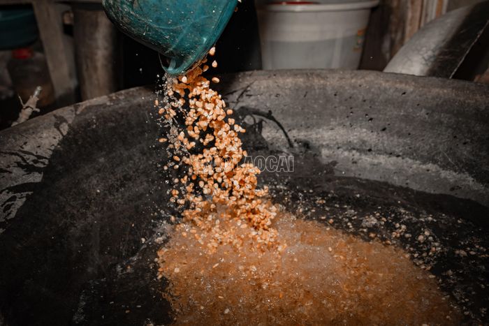 Sau khi tuyển chọn, ngô được đưa vào chảo lớn, nấu liên tục đến khi hạt chín kỹ, nở đều và bung ra để men có thể thấm sâu. Đây là công đoạn tốn nhiều thời gian, nhưng không thể rút ngắn nếu muốn mẻ ủ lên men đều, không bị sượng hoặc hỏng.