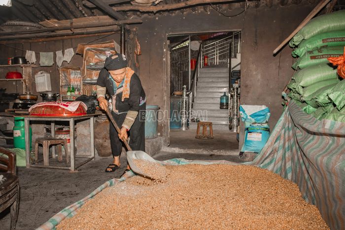 Sau khi rắc men, ngô được đảo nhiều lượt để từng hạt đều phủ một lớp men mỏng. Hỗn hợp tiếp tục được ủ ấm trong khoảng một ngày một đêm. Vào mùa đông, người nấu phải che đậy kỹ hơn để giữ nhiệt, tạo điều kiện cho men bắt đầu hoạt động.