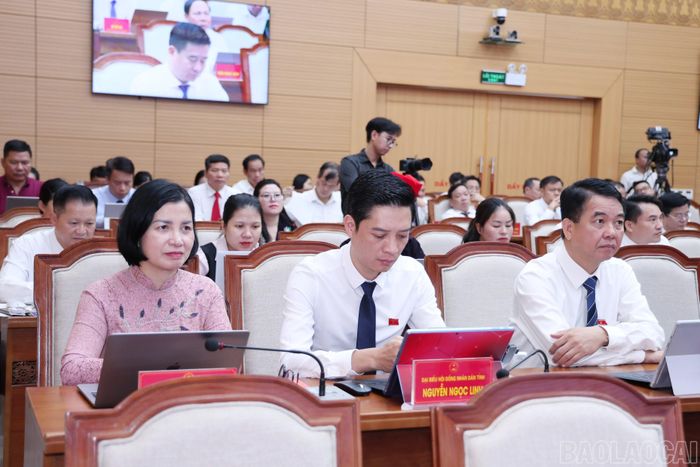 Đại biểu dự kỳ họp.