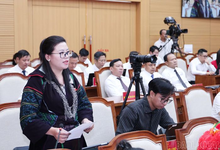 Đại biểu HĐND tỉnh chất vấn tại kỳ họp.