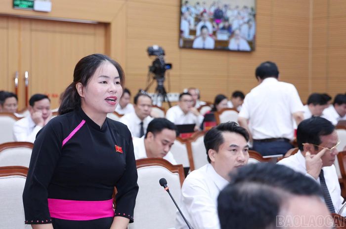 Đại biểu Bàn Thị Đào nêu ý kiến.