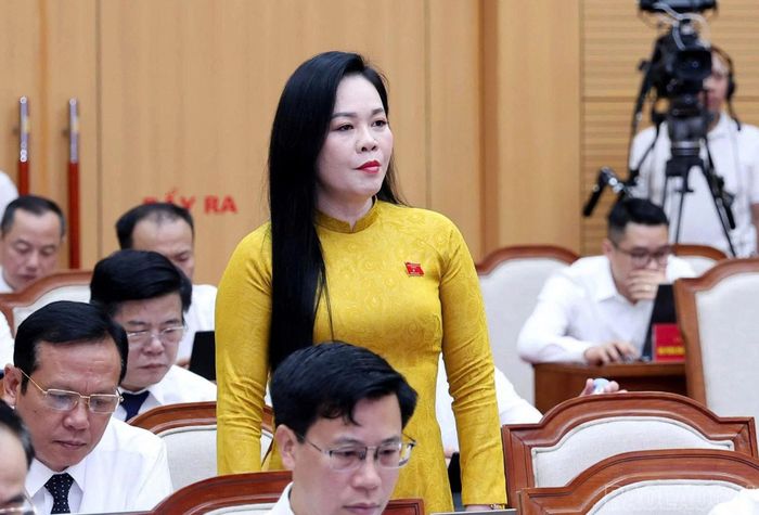Đại biểu Lê Ngọc Quỳnh nêu câu hỏi.