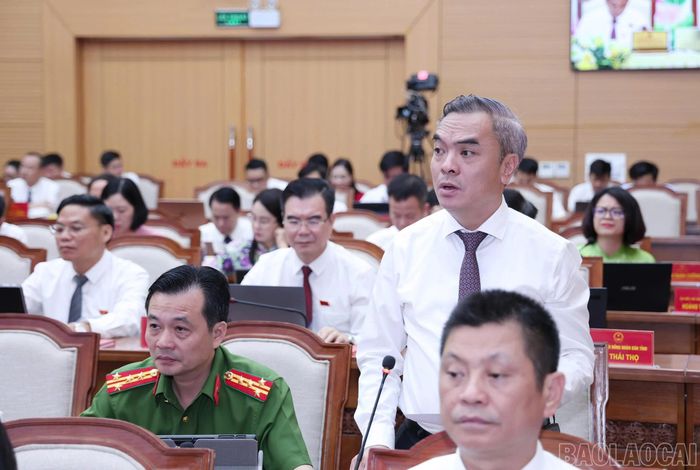 Đại biểu Đỗ Phi Hải nêu câu hỏi.