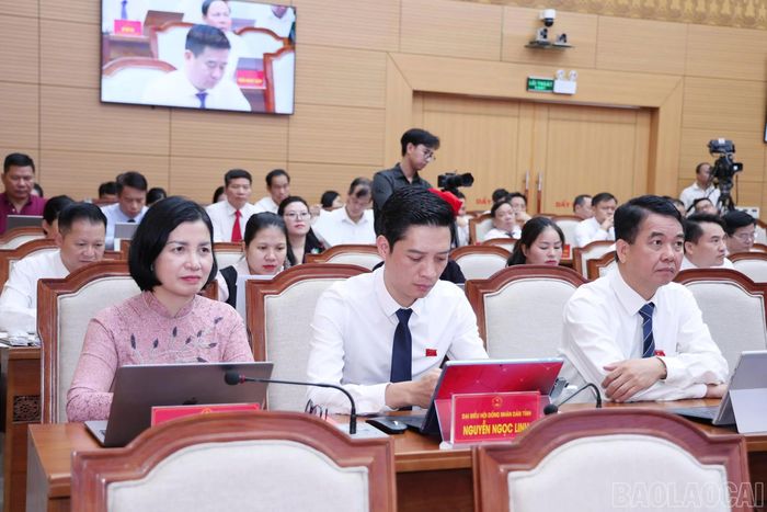 Đại biểu dự kỳ họp sáng 29/6.