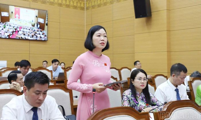 Đại biểu Nguyễn Thị Lan Anh nêu câu hỏi chất vấn.