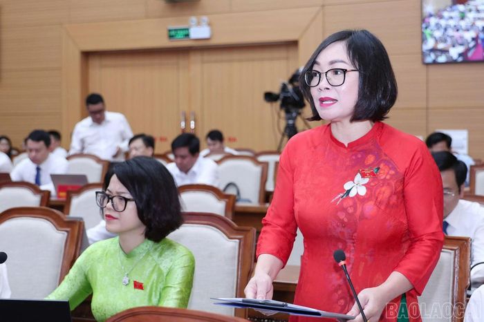 Đại biểu Hoàng Thùy Ninh nêu câu hỏi.