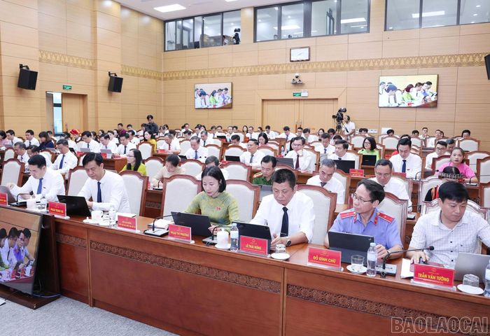 Các đại biểu dự kỳ họp thứ 3