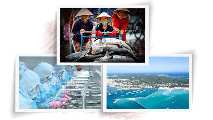 Ngành thủy sản Lâm Đồng mỗi năm đóng góp khoảng 6,8% GRDP của tỉnh