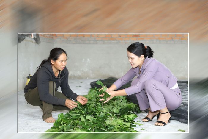 Cán bộ địa phương thường xuyên hướng dẫn kỹ thuật chăn nuôi, trồng trọt nhằm nâng cao hiệu quả các mô hình hỗ trợ sinh kế