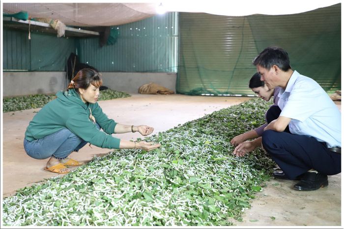 Chị H'Liêm giúp nhiều chị em phụ nữ DTTS phát triển mô hình trồng dâu, nuôi tằm, nâng cao thu nhập và cải thiện đời sống