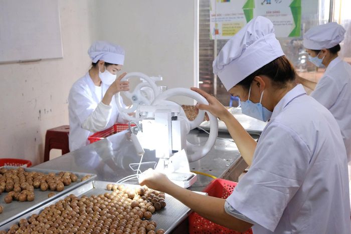 Lâm Đồng đẩy mạnh phát triển chế biến sâu các sản phẩm đến từ mắc ca
