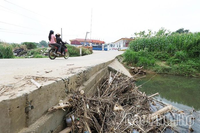 Rác thải và cành cây làm tắc nghẽn hệ thống cống thoát nước, khiến dòng chảy bị ách tắc.