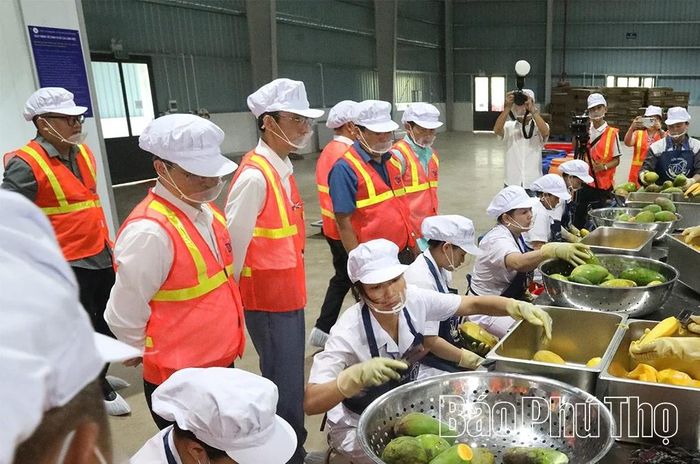 Các đại biểu tham quan dây chuyền sản xuất của công ty Tiến Ngân.