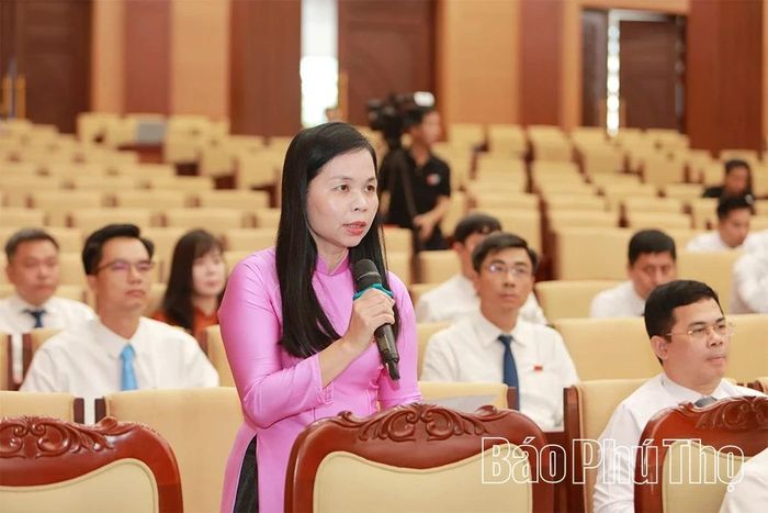 Đại biểu Nguyễn Hương Giang - Tổ đại biểu HĐND tỉnh số 13 đặt câu hỏi về việc phân bổ nguồn lực công ích cho các xã, phường sau sáp nhập.