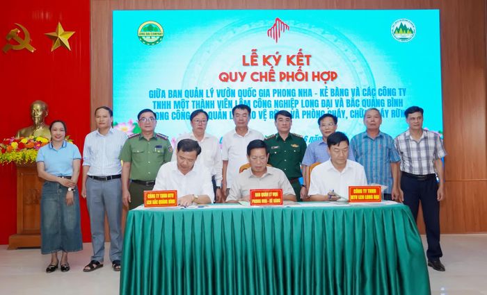  Đại diện Ban Quản lý Vườn Quốc gia Phong Nha-Kẻ Bàng ký kết quy chế phối hợp với các công ty - Ảnh: N.H