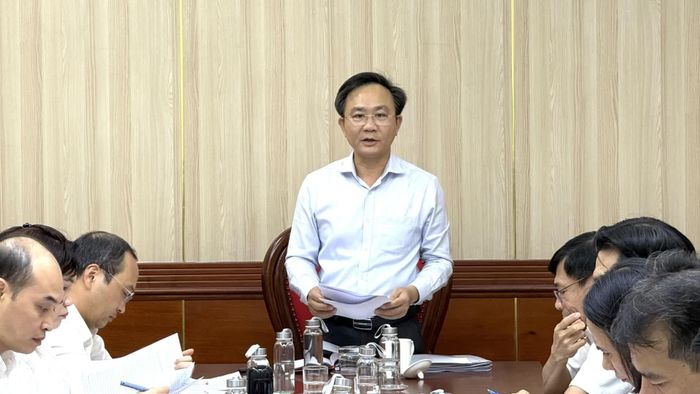 Đồng chí Hoàng Xuân Tân, Phó Chủ tịch UBND tỉnh phát biểu kết luận tại buổi làm việc - Ảnh: N.L