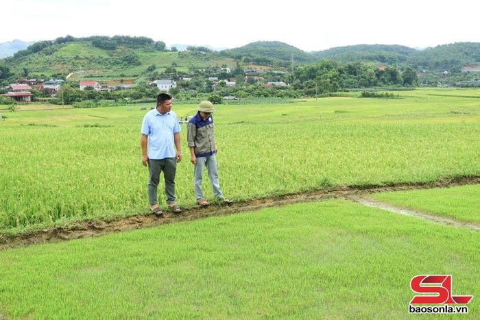 Cán bộ Cụm hồ bản Mòn, xã Chiềng Mung kiểm tra hệ thống dẫn nước của mương thủy lợi phục vụ sản xuất nông nghiệp.
