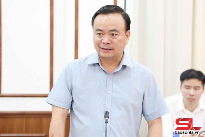 Đồng chí Phó Chủ tịch Thường trực UBND tỉnh phát biểu tại cuộc làm việc.