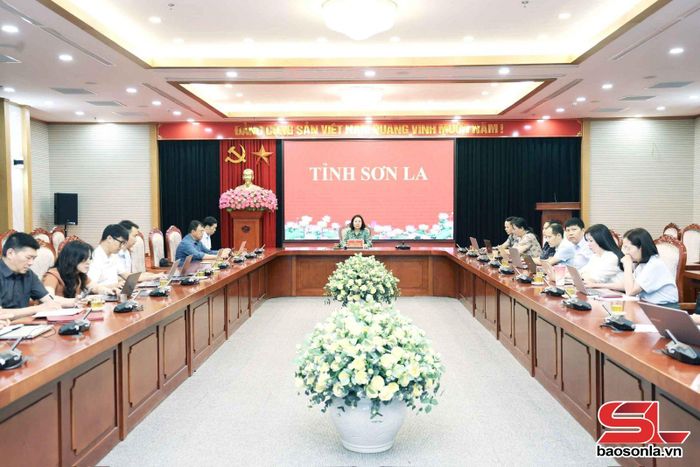 Lãnh đạo Sở Văn hóa, Thể thao và Du lịch cùng đại biểu tham dự hội nghị tập huấn.